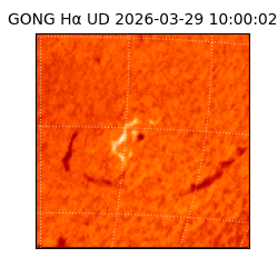 gong - 2026-03-29T10:00:02