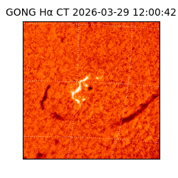 gong - 2026-03-29T12:00:42