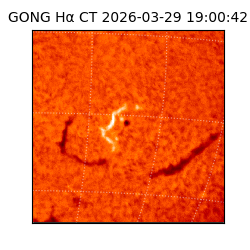 gong - 2026-03-29T19:00:42