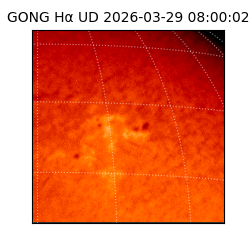 gong - 2026-03-29T08:00:02