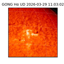 gong - 2026-03-29T11:03:02