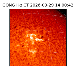 gong - 2026-03-29T14:00:42