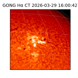 gong - 2026-03-29T16:00:42