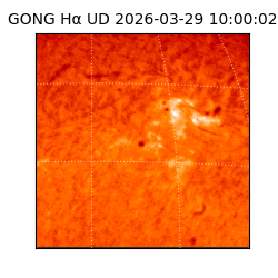 gong - 2026-03-29T10:00:02