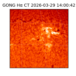 gong - 2026-03-29T14:00:42