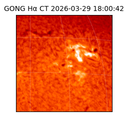 gong - 2026-03-29T18:00:42