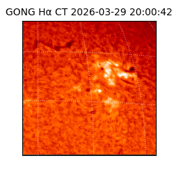 gong - 2026-03-29T20:00:42