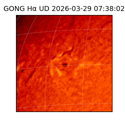 gong - 2026-03-29T07:38:02