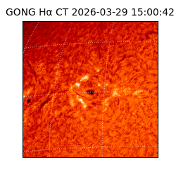 gong - 2026-03-29T15:00:42