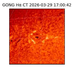 gong - 2026-03-29T17:00:42