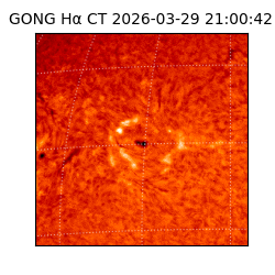 gong - 2026-03-29T21:00:42