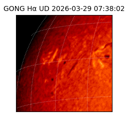 gong - 2026-03-29T07:38:02