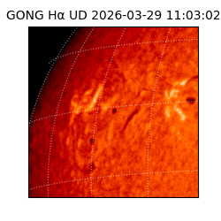 gong - 2026-03-29T11:03:02