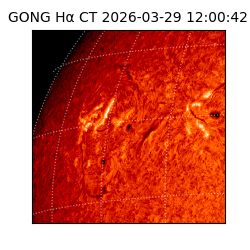 gong - 2026-03-29T12:00:42