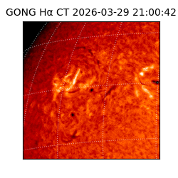 gong - 2026-03-29T21:00:42