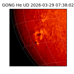 gong - 2026-03-29T07:38:02