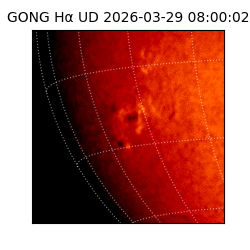 gong - 2026-03-29T08:00:02