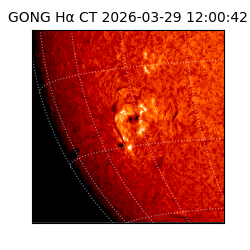 gong - 2026-03-29T12:00:42