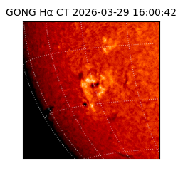 gong - 2026-03-29T16:00:42