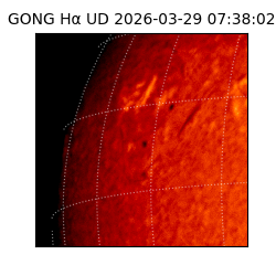 gong - 2026-03-29T07:38:02
