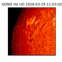 gong - 2026-03-29T11:03:02