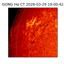 gong - 2026-03-29T19:00:42