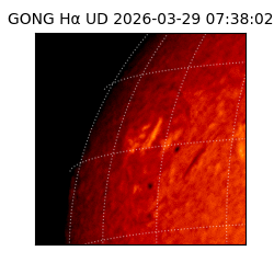gong - 2026-03-29T07:38:02