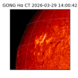 gong - 2026-03-29T14:00:42