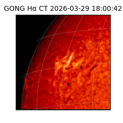 gong - 2026-03-29T18:00:42