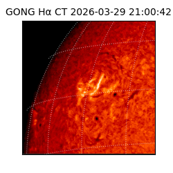 gong - 2026-03-29T21:00:42