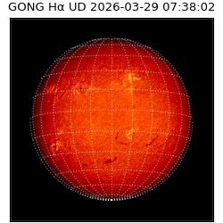 gong - 2026-03-29T07:38:02