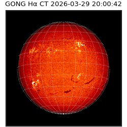 gong - 2026-03-29T20:00:42
