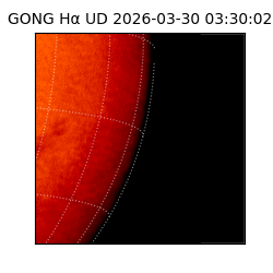 gong - 2026-03-30T03:30:02