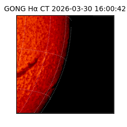 gong - 2026-03-30T16:00:42