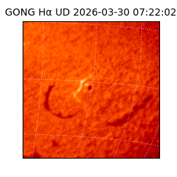 gong - 2026-03-30T07:22:02