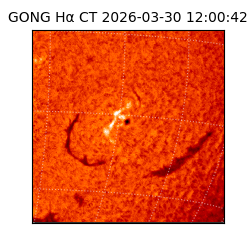 gong - 2026-03-30T12:00:42