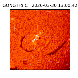 gong - 2026-03-30T13:00:42