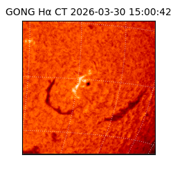 gong - 2026-03-30T15:00:42