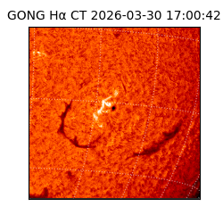 gong - 2026-03-30T17:00:42