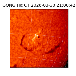 gong - 2026-03-30T21:00:42