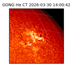 gong - 2026-03-30T14:00:42