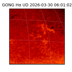gong - 2026-03-30T06:01:02