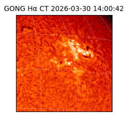 gong - 2026-03-30T14:00:42