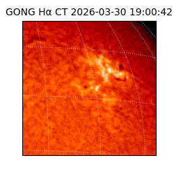 gong - 2026-03-30T19:00:42