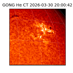 gong - 2026-03-30T20:00:42