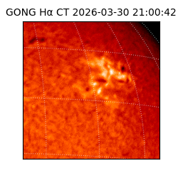 gong - 2026-03-30T21:00:42