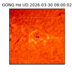 gong - 2026-03-30T08:00:02