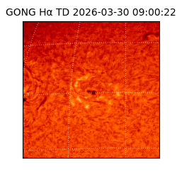 gong - 2026-03-30T09:00:22