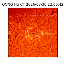 gong - 2026-03-30T12:00:42