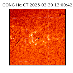 gong - 2026-03-30T13:00:42